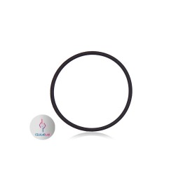 Visor de Camara iPhone 13