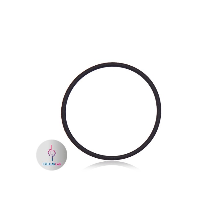 Visor de Camara iPhone 13